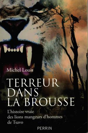 <strong>Terreur dans la brousse</strong>, L'histoire vraie des lions mangeurs d'hommes de Tsavo, Michel Louis, Perrin, 2011