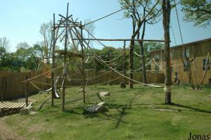 Enclos extérieur des orangs-outans