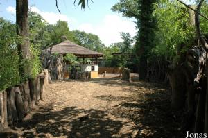Enclos principal des potamochères et hutte africaine
