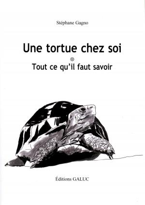 <strong>Une tortue chez soi</strong>, Tout ce qu'il faut savoir, Stéphane Gagno, Éditions Galuc, 2020