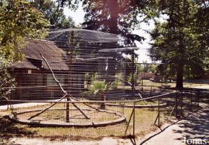 Cages des lémuriens