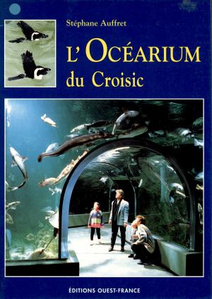 Guide 1995