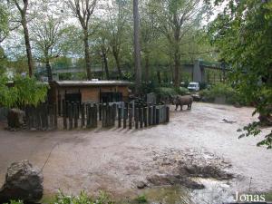 Enclos africain et bâtiment des rhinocéros