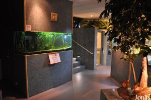 Aquarium de Loudun