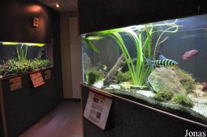 Aquarium de Loudun