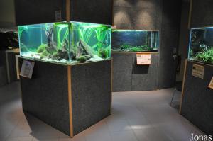 Aquarium de Loudun