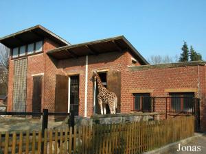 Pavillon des girafes