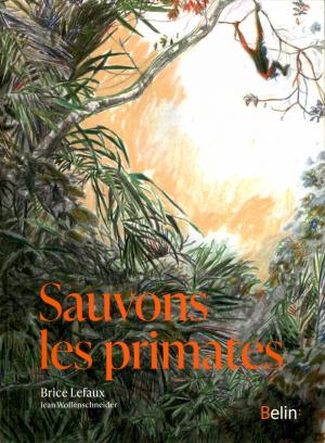 <strong>Sauvons les primates</strong>, Brice Lefaux, Jean Wollenschneider, Belin, Paris, 2021
