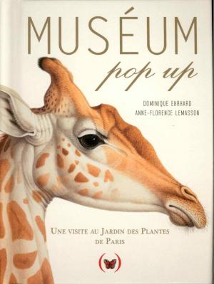 <strong>Muséum Pop Up</strong>, Une visite au Jardin des Plantes de Paris, Dominique Ehrhard, Anne-Florence Lemasson, Les Grandes Personnes, 2019