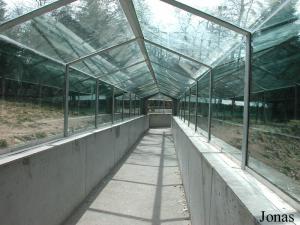 Tunnel de verre
