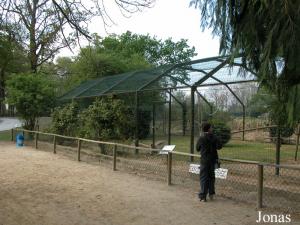 Enclos des gibbons