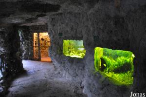 Grotte historique avec aquariums