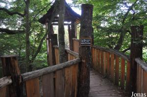 Sentier des Cabanes, parcours arboricole à la découverte de la forêt