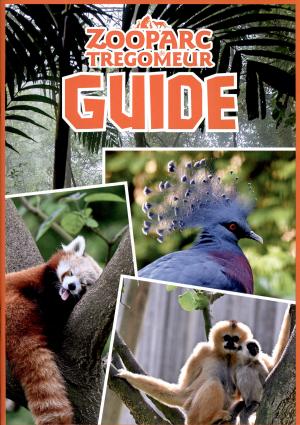 Guide 2025