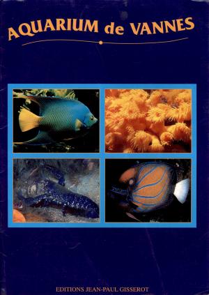 Guide 1999