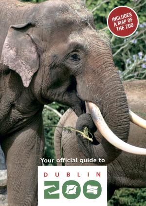 Guide 2024