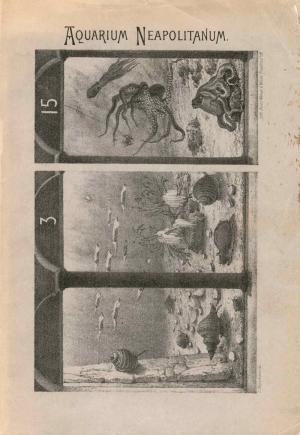 Guide 1898 - Quarta edizione
