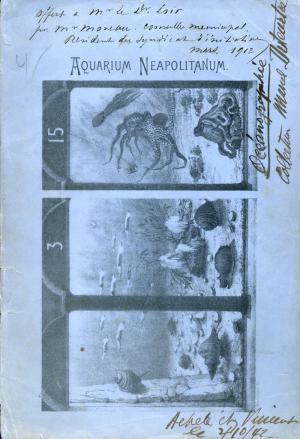 Guide 1908 - Edition française - 6e édition