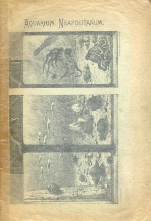 Guide 1911