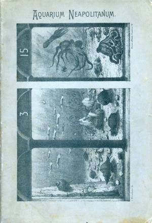 Guide 1914 - Edition française - 7e édition