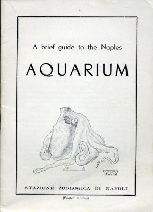 Guide 1953 - Edition anglaise