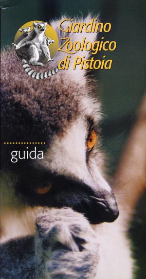 Guide 2004
