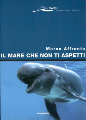 <strong>Il mare che non ti aspetti</strong>, Marco Affronte, Magenes Editoriale, Milano 2007