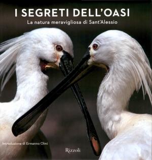 <strong>I segreti dell'oasi</strong>, La natura meravigliosa di Sant'Alessio, Harry Salamon, Rizzoli, Milano, 2014