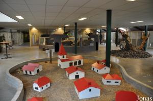 Bâtiment intérieur et enclos des cobayes domestiques