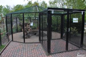 Enclos de contact avec lapins domestiques