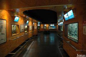 Aquarium hall