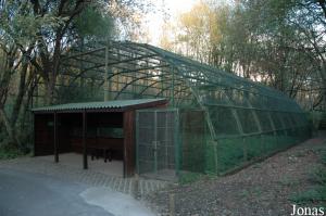 Aviary for Northern goshawks and short-toed snake-eagles
