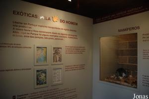 Exhibition about invasive species