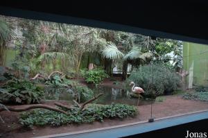 Marshland exhibit with birds