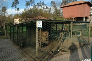 Quinta de Santo Tusso with aviaries for domestic birds
