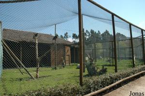 Aviary for Turkey vultures