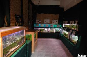 Room for amphibians in Aquario Vasco da Gama