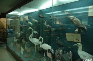 Museum part in Aquario Vasco da Gama