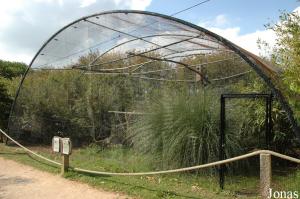 Aviary for Inca jays and golden pheasants