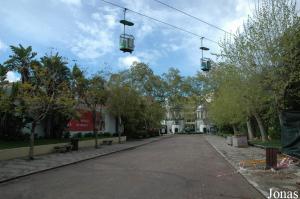 Main avenue of the zoo