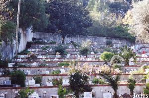 Cemetery for domestic animals