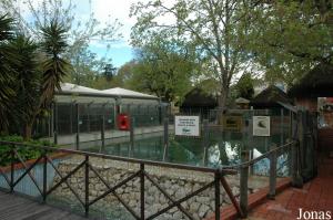 Pool for Nile crocodiles in the amusement quarter