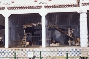Historic big cats cages