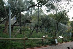 New enclosure of the jaguars