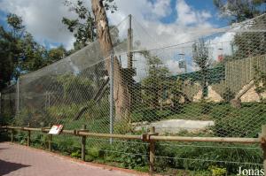 New enclosure of the Persian leopards