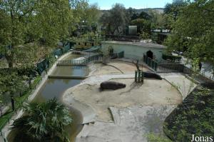 Exhibit for the hippopotamus viewed from the cable lift