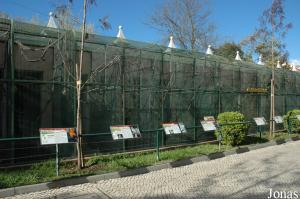 Aviaries in Lisbon Zoo