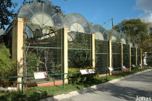 Aviaries in Lisbon Zoo