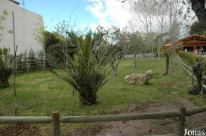 Main okapis exhibit