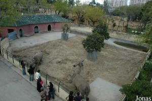 White rhinos enclosure viewed from the cable lift